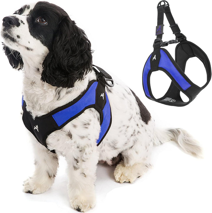 Gooby - Escape Free Easy Fit Hundegeschirr, kleines Hundegeschirr für Hunde, die ihrem Geschirr gern