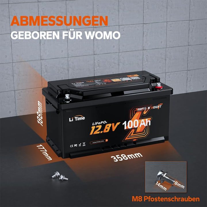 LiTime 12V 100Ah LiFePO4 Wohnmobil Batterie mit Bluetooth &amp; 100A BMS, Tieftemperaturschutz, 4000-150