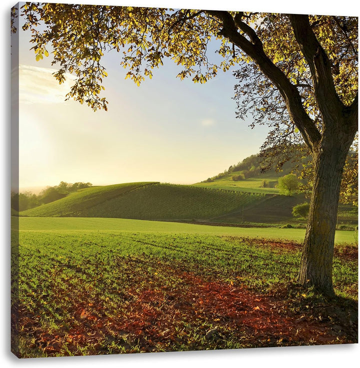 Landschaft im Herbst, Format: 70x70 auf Leinwand, XXL riesige Bilder fertig gerahmt mit Keilrahmen,