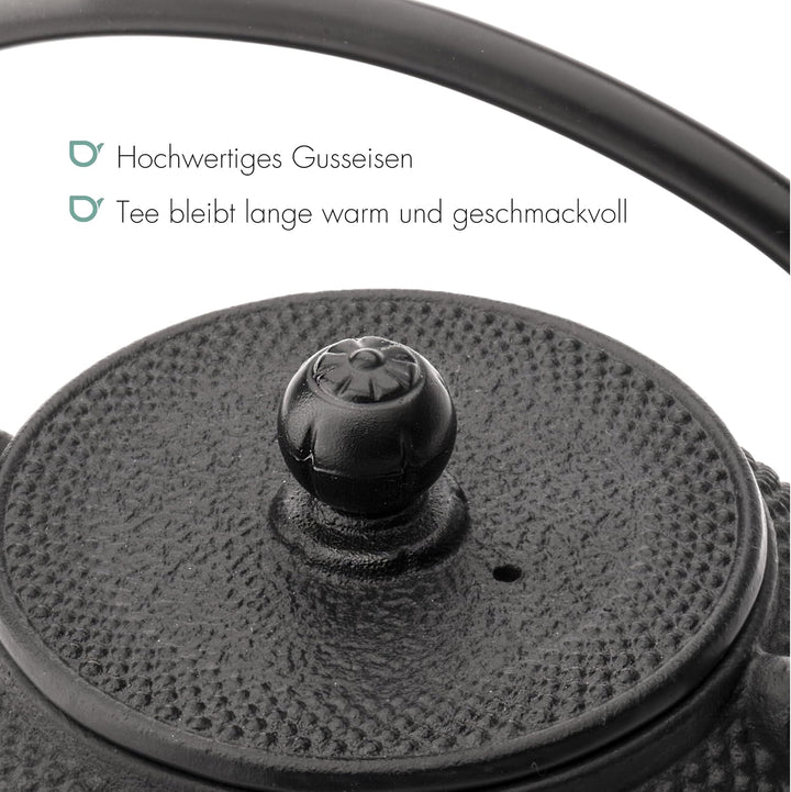 Bredemeijer Schwarze gusseiserne Teekanne 1.1 Liter Jang mit Edelstahlfilter 1,25 l, 1,25 l