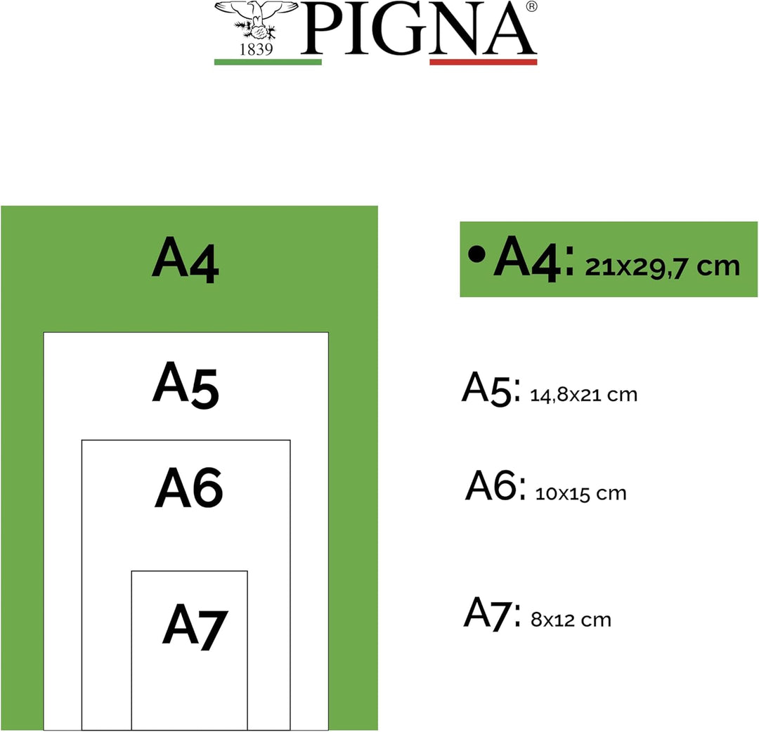Pigna - 00609775M - Blocchi Quablock A4 5 mm collato Fg. 50 80 gr/mq copertina patinata 115gr/mq, 5-