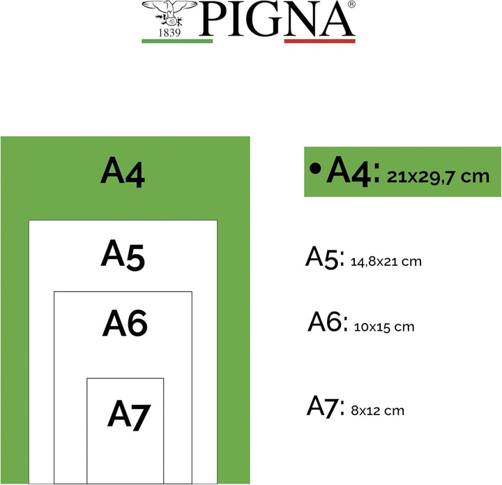 Pigna - 00609775M - Blocchi Quablock A4 5 mm collato Fg. 50 80 gr/mq copertina patinata 115gr/mq, 5-
