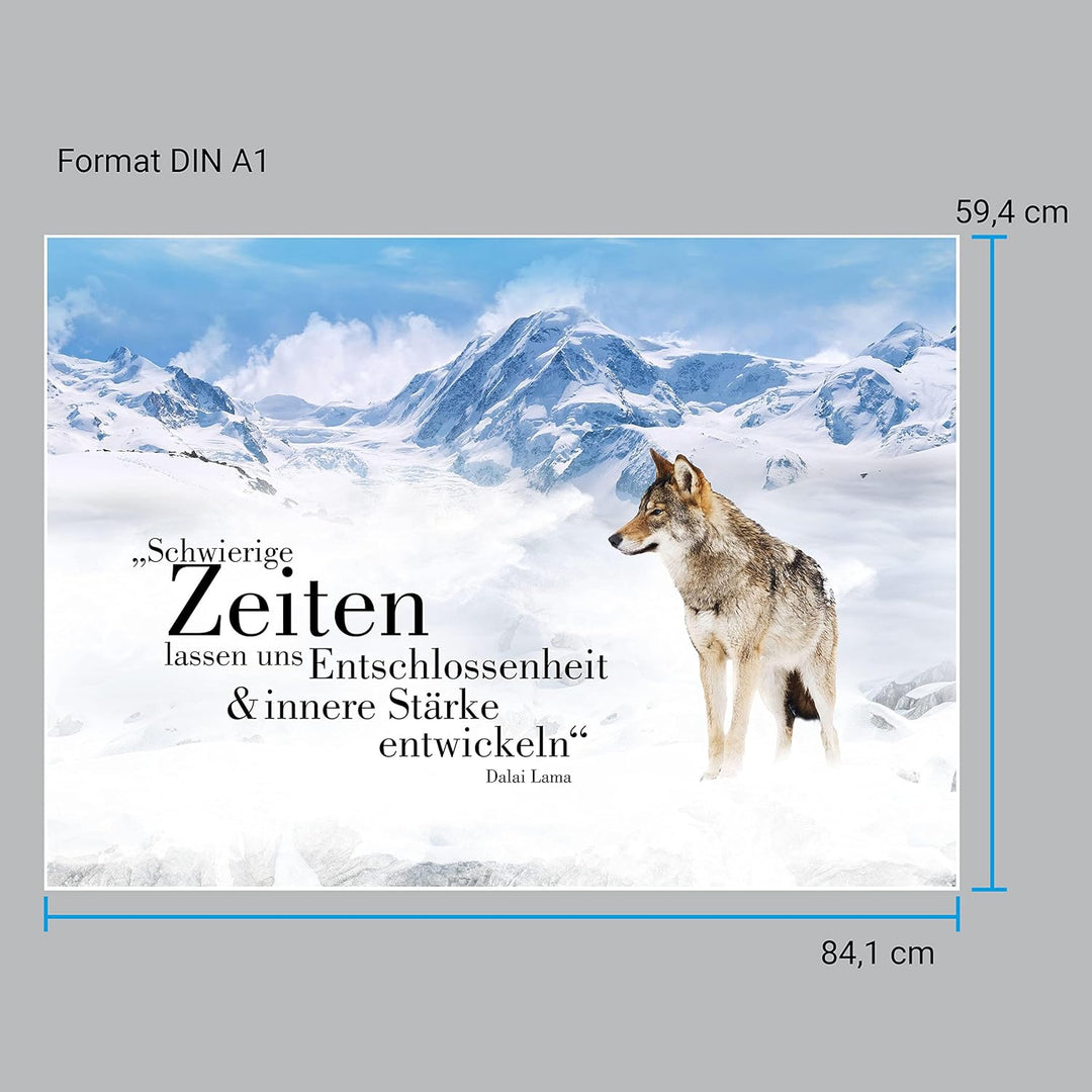 wandmotiv24 Poster als Wanddeko, Grösse Din A1, Wolf in den Bergen, Entschlossenheit, Wölfe, Tiere,