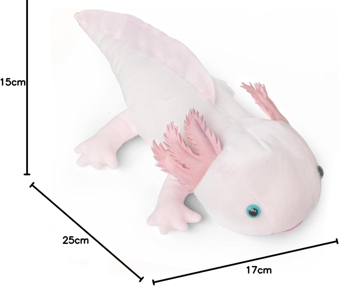 Axolotl