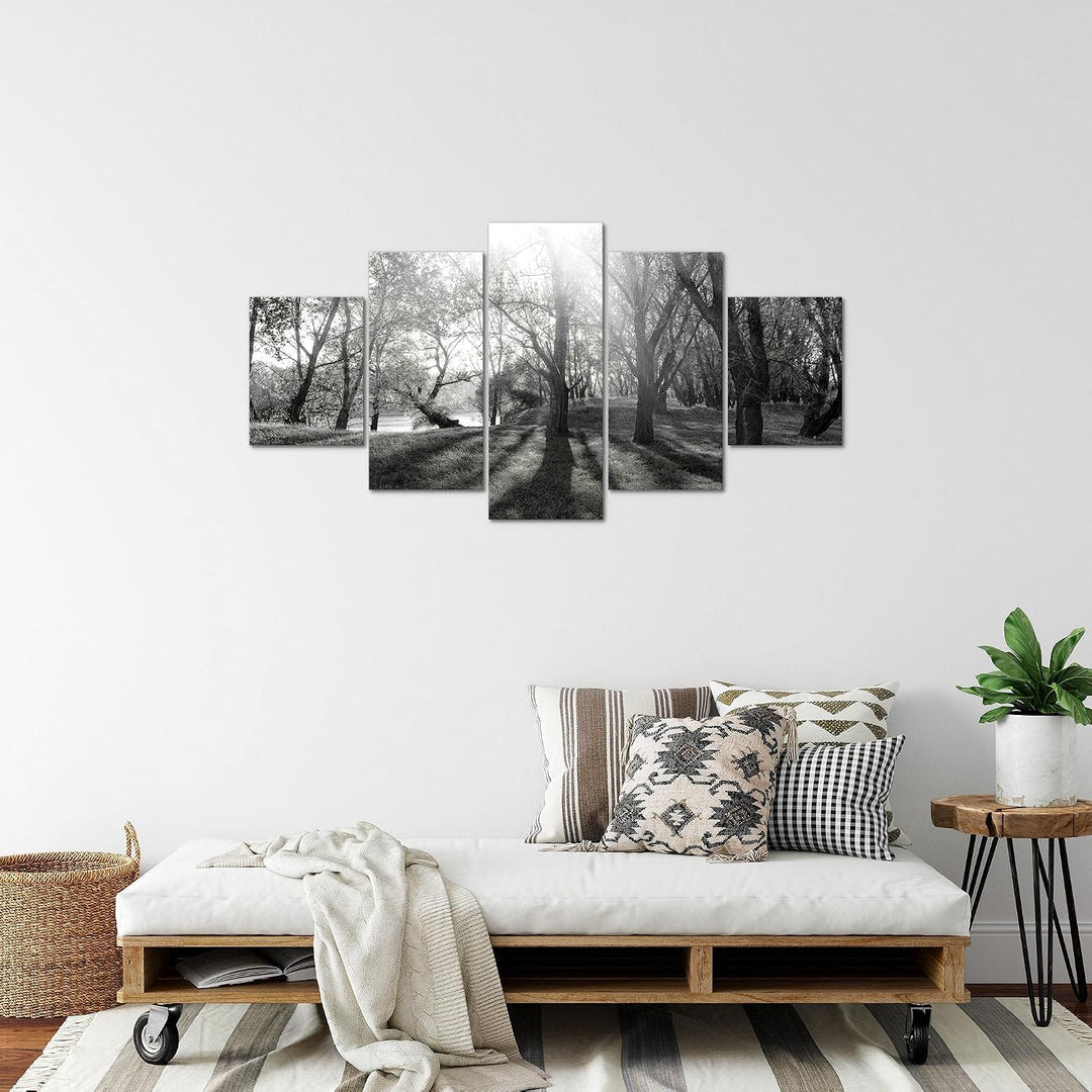 Runa Art Bild Schlafzimmer Wohnzimmer Wald Landschaft 5 Teilig Sonne Schwarz Weiss Wandbilder auf Vl