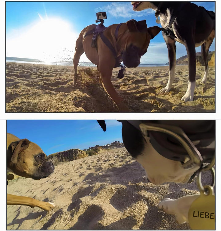 Haustier Geschirr für GoPro, Hundegeschirr für GoPro 13 12 11 10 9 8 7 Insta360 X5 X4 X3 Go3s DJI Os