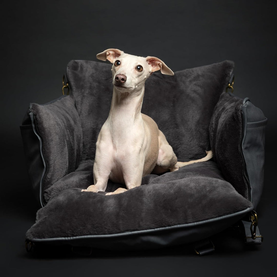 Noah &amp; Paw Hunde-Autositz-Tragetasche, kleiner Hunde-Autositz für kleine, mittelgrosse Haustiere mit