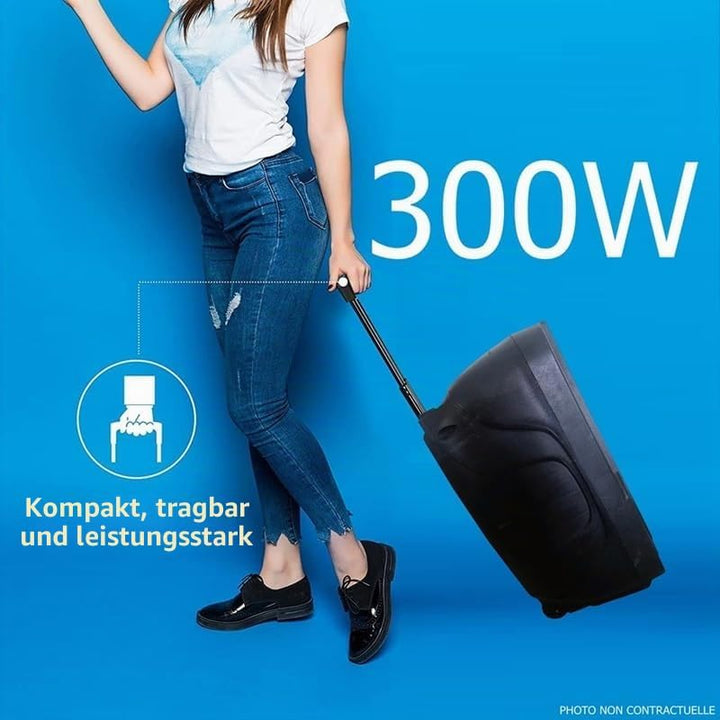 PARTY-8LED - PARTY - 200 W RMS, 8"/20 cm grosser batteriebetriebener Lautsprecher mit 1 Mikrofon am