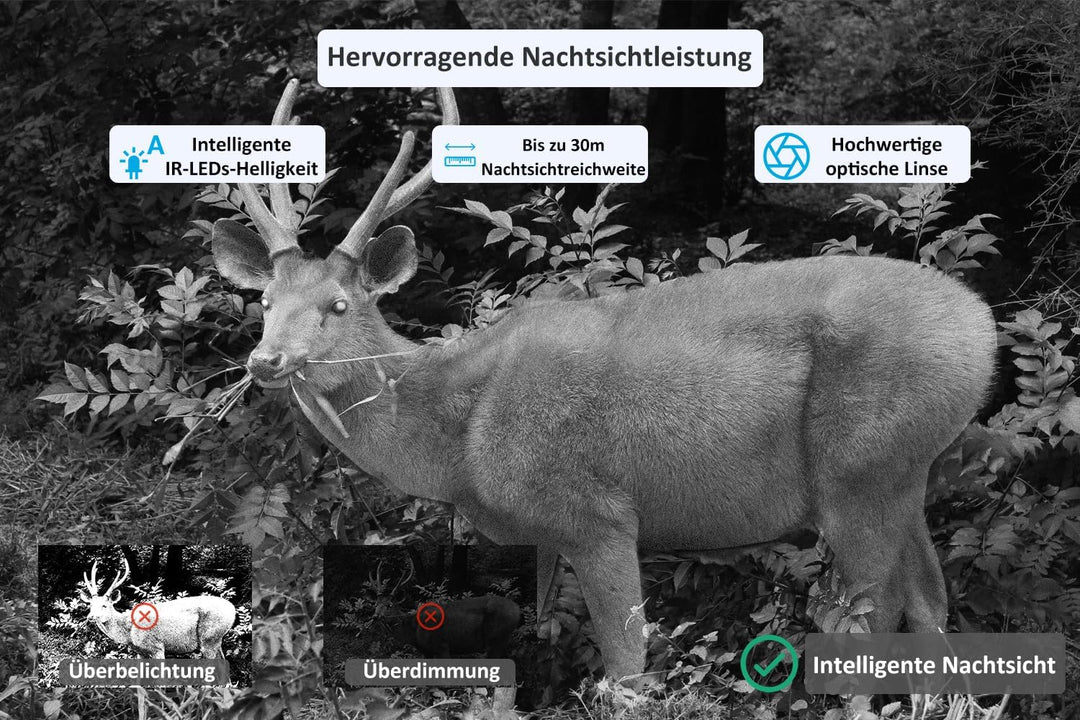 Meidase P100 (2022) Wildkamera WLAN mit App 32MP H.264 1296P, 27m Infrarot Nachtsicht Bewegungsmelde