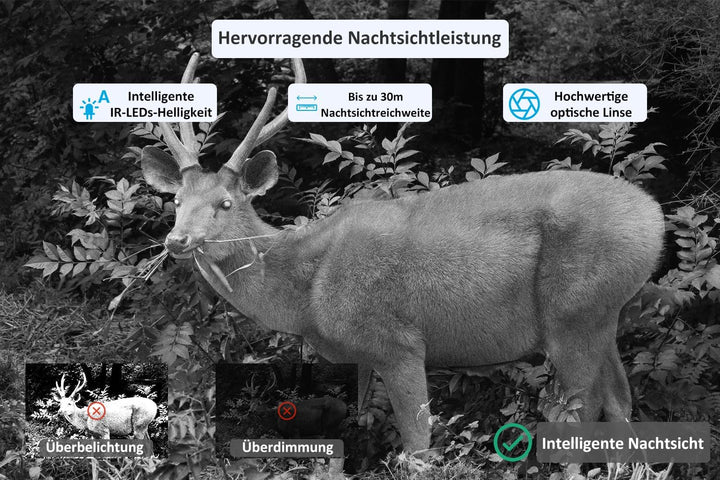 Meidase P100 (2022) Wildkamera WLAN mit App 32MP H.264 1296P, 27m Infrarot Nachtsicht Bewegungsmelde