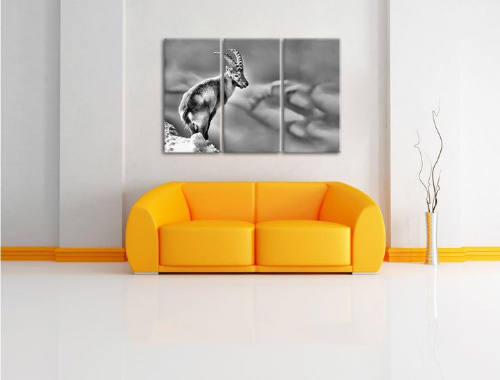 Pixxprint Steinbock im Schnee als Leinwandbild/Grösse: 3 Teilig (120x80) cm/Wandbild/Kunstdruck/fert