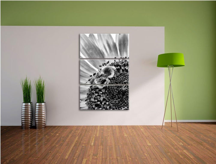 Pixxprint Monocrome, Biene auf Sonnenblume 3-Teiler Leinwandbild 120x80 Bild auf Leinwand