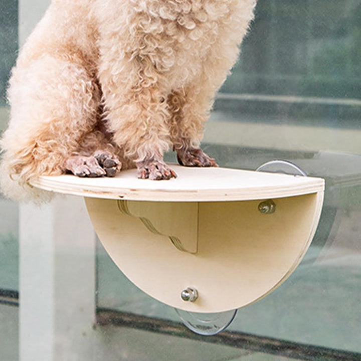 Katzen Fensterplätze, Fensterliege Für Katzen, Katzenhängematte Katzen Hängematte Fenster Mit 3 Saug