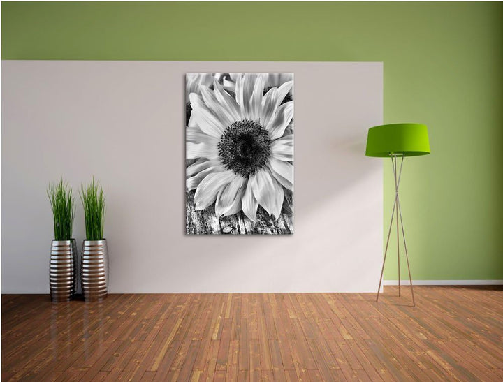 Pixxprint Monocrome, Sonnenblumen auf altem Holztisch, Format: 100x70 auf Leinwand, XXL riesige Bild