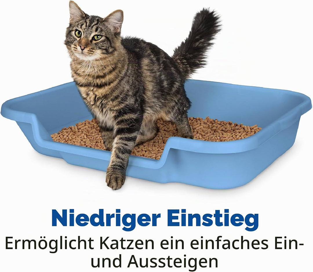 Kitty Go Here Katzentoilette Senior, 61 x 50,8 x 12,7 cm, Blau, Blau Large (1 Pack)
