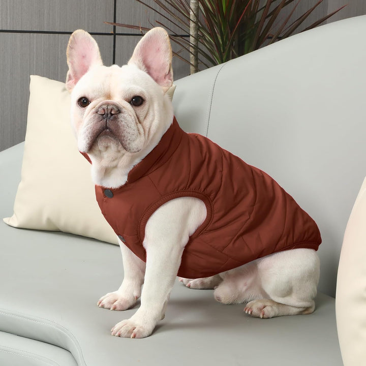 JoyDaog 2-lagige mit Fleece gefütterte Hundejacke, sehr warm für Winter und kaltes Wetter, extraweic