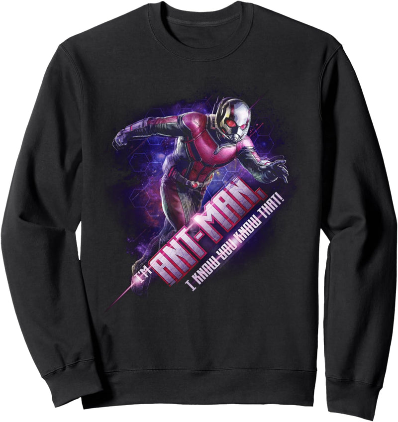 Marvel Avengers Endgame Ant-Man Quote Portrait Sweatshirt