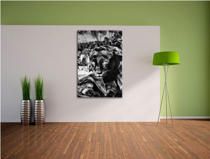 Pixxprint Monocrome, schwarzer Panther, Format: 100x70 auf Leinwand, 100x70