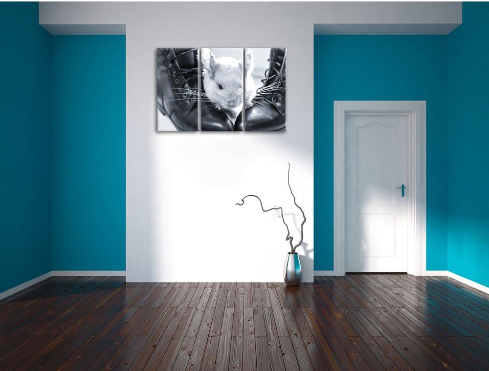 Pixxprint Chinchilla zwischen Schuhen als Leinwandbild/Grösse: 3 Teilig (120x80) cm/Wandbild/Kunstdr