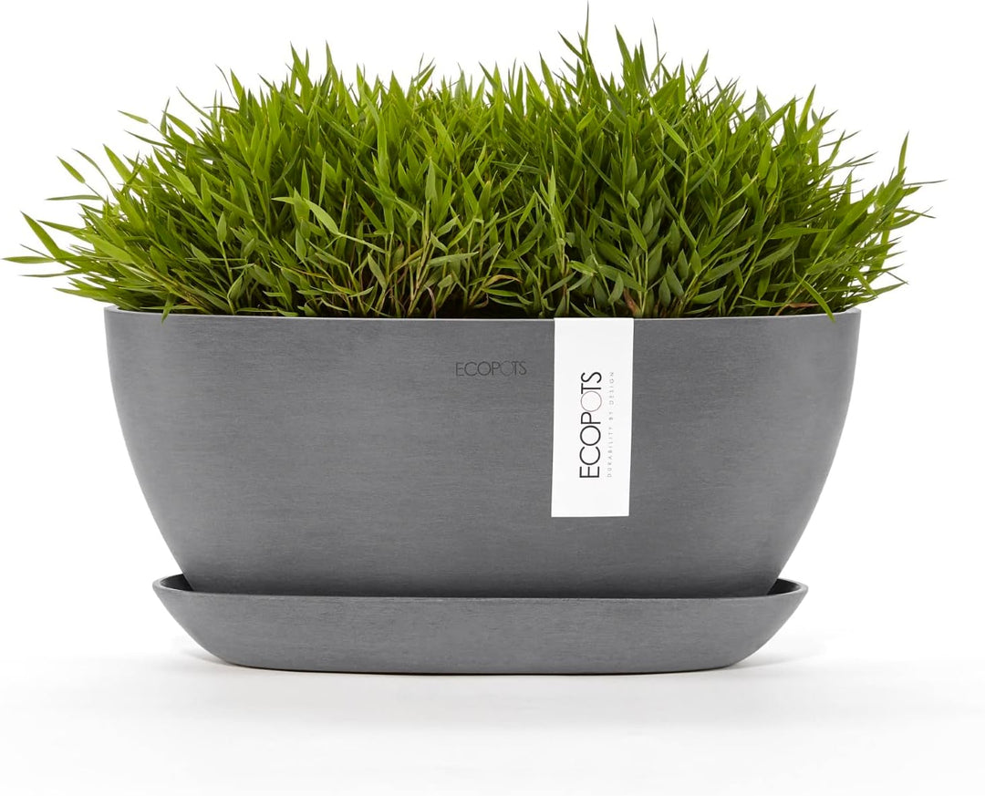 ECOPOTS Pflanzschale Sofia Grau - 30 x 13 cm oval gross - Pflanzentopf aus Recycling Kunststoff - Üb