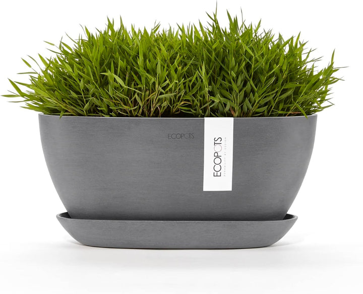 ECOPOTS Pflanzschale Sofia Grau - 30 x 13 cm oval gross - Pflanzentopf aus Recycling Kunststoff - Üb