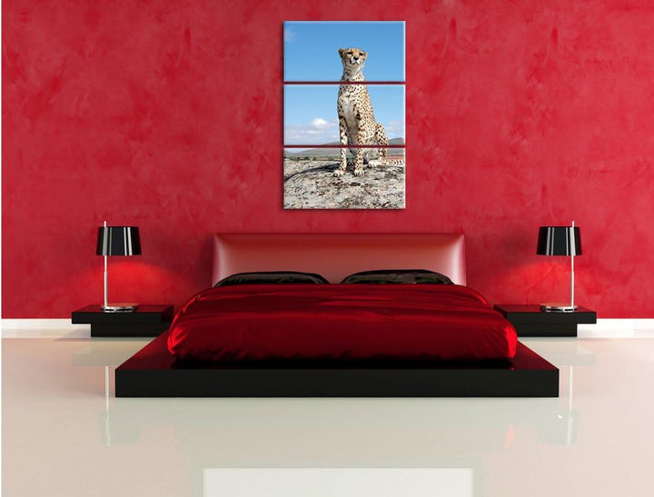 Pixxprint Wachsamer Gepard als Leinwandbild/Grösse: 3 Teilig (120x80) cm/Wandbild/Kunstdruck/fertig