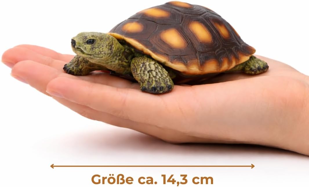 Gartenfigur Schildkröte Klein – Gartendeko aus Polyresin für Garten, Terasse und Balkon – frostbestä