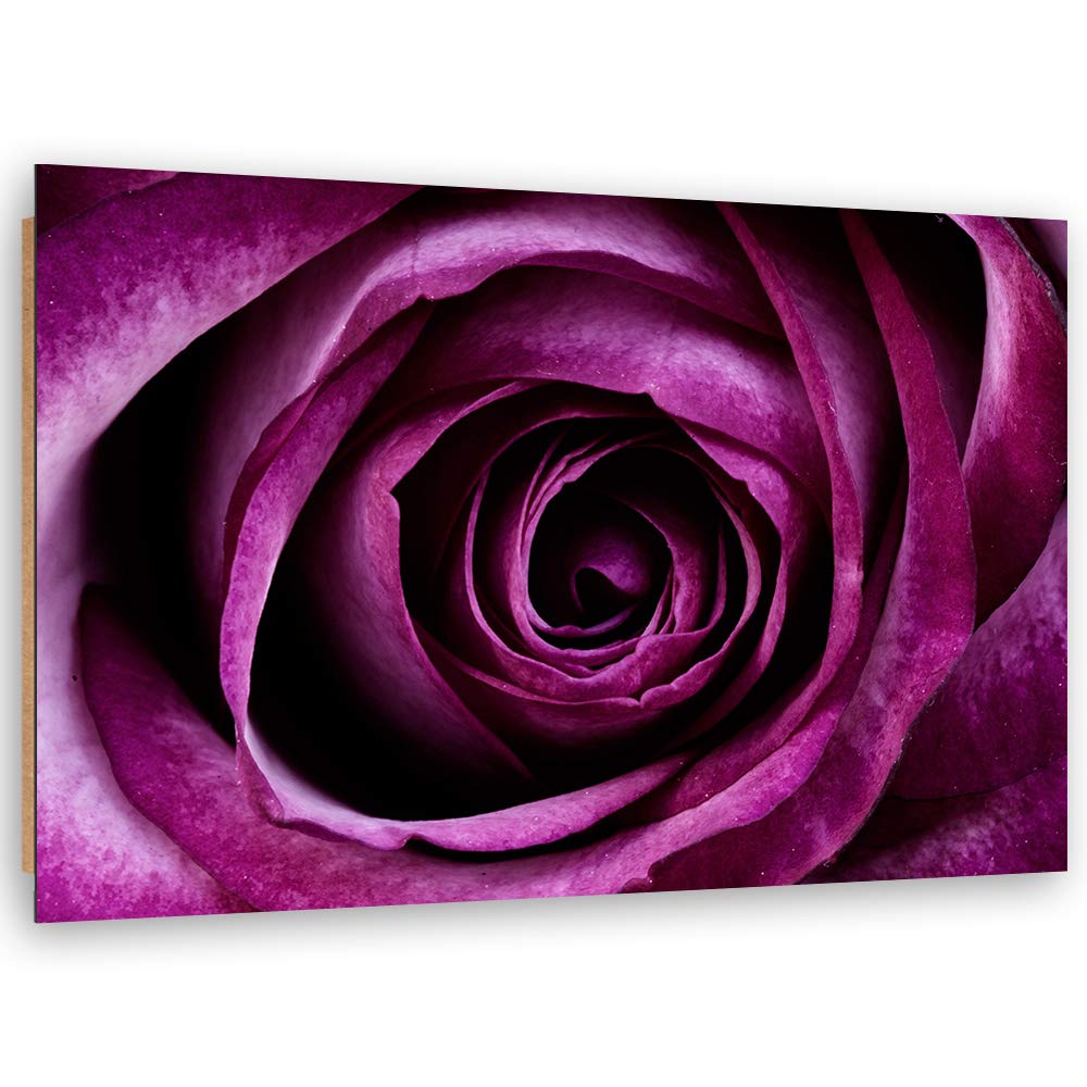 Wandbild XXL Rose Deko Kunst Bilder Pflanze Violett 120x80 cm M14560 120x80 cm, M14560 120x80 cm