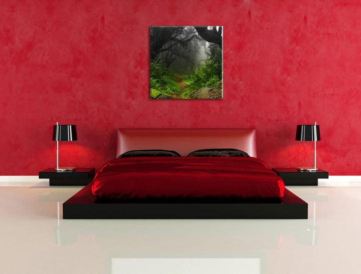 Pixxprint Mystischer Regenwald als Leinwandbild Quadratisch/Grösse: 70x70 / Wandbild/Kunstdruck/fert