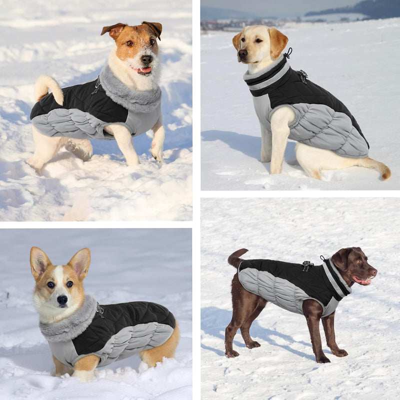Hjumarayan Hundemantel für Kleine Hunde - Hundemantel Winter Hundemantel mit Geschirr Wintermantel H