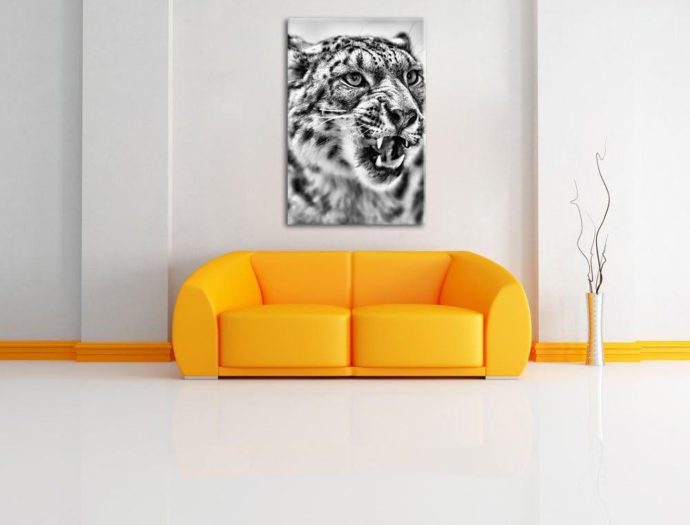 Pixxprint Schneeleopard zeigt Zähne als Leinwandbild/Grösse: 100x70 cm/Wandbild/Kunstdruck/fertig be