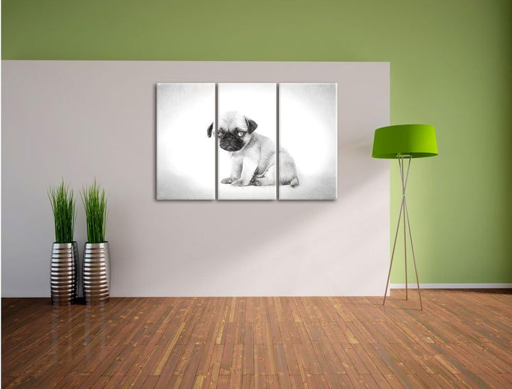 Pixxprint Kleiner Hundewelpe Mops als Leinwandbild/Grösse: 3 Teilig (120x80) cm/Wandbild/Kunstdruck/