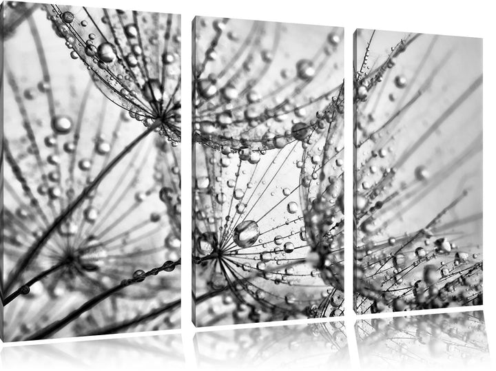 Pixxprint Pusteblumen Tau als Leinwandbild/Grösse: 3 Teilig (120x80) cm/Wandbild/Kunstdruck/fertig b