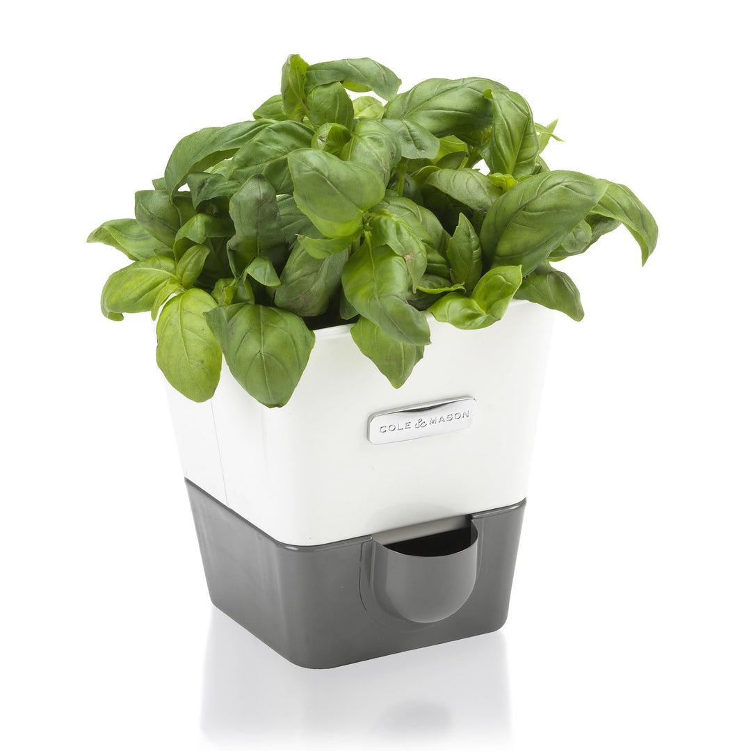 Cole & Mason Burwell Kräutertopf Selbstbewässernd, Kräutertopf Balkon/Kräutergarten für die Küche/Fü