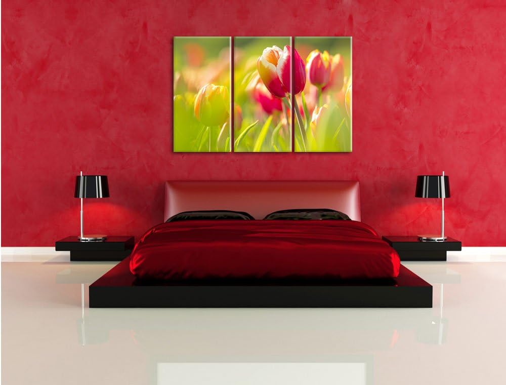 Pixxprint Blühende rote Tulpen als Leinwandbild/Grösse: 3 Teilig (120x80) / Wandbild/Kunstdruck/fert