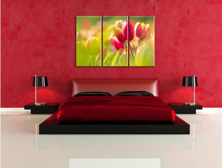 Pixxprint Blühende rote Tulpen als Leinwandbild/Grösse: 3 Teilig (120x80) / Wandbild/Kunstdruck/fert