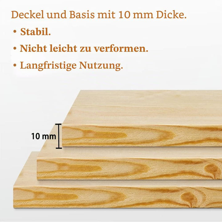 Joody Vitrine aus Acryl, Plexiglas-Boxen mit 2 Ebenen, Vitrine mit Tür für Pop-Figuren, Minifigur, S