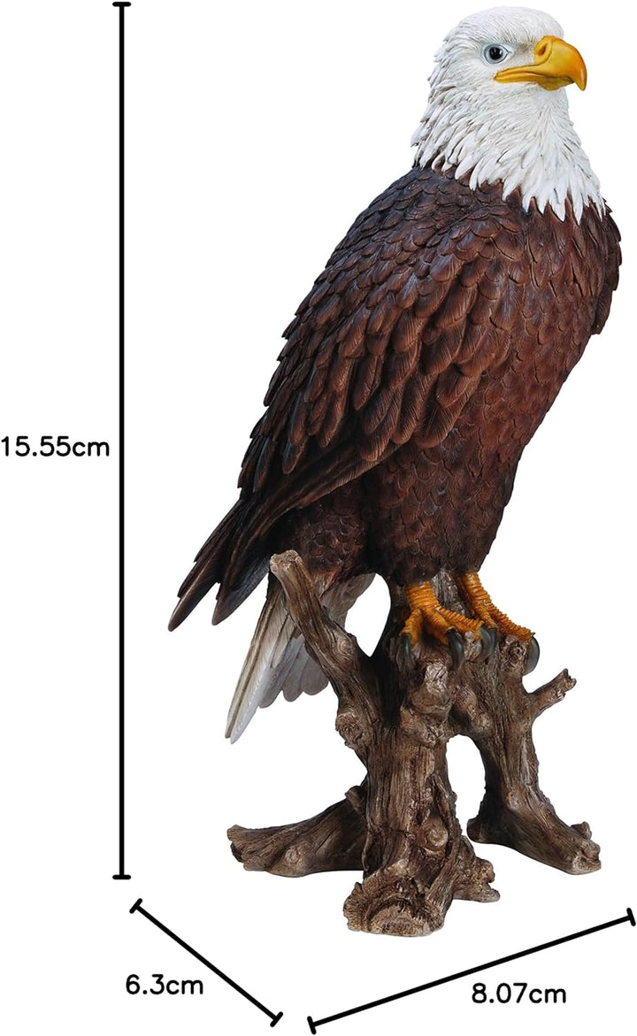 Vivid Arts XRL-BLDE-B Amerikanischer Weisskopfseeadler, Kunstharz Gartendeko