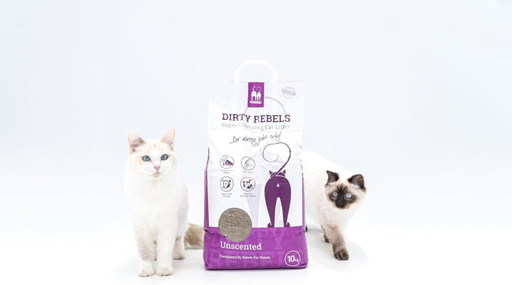 Petrebels Katzenstreu Dirty Rebels, 2X 10 Liter, ohne Duft/Duftneutral, 100% Natürlich, 2er-Pack Unp