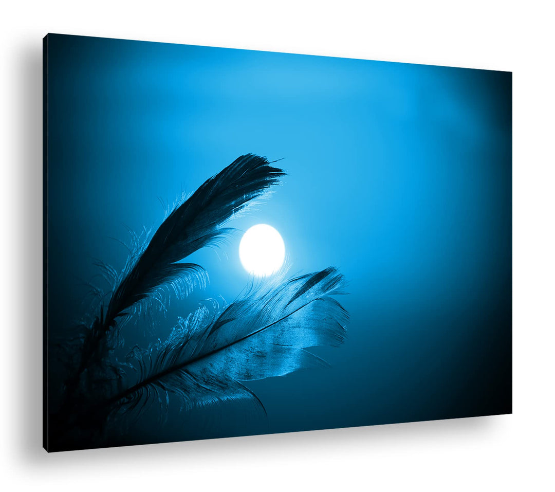 deyoli Federn im Sonnenuntergang Format: 80x60 Effekt: Monocrome Blau als Leinwandbild, Motiv fertig