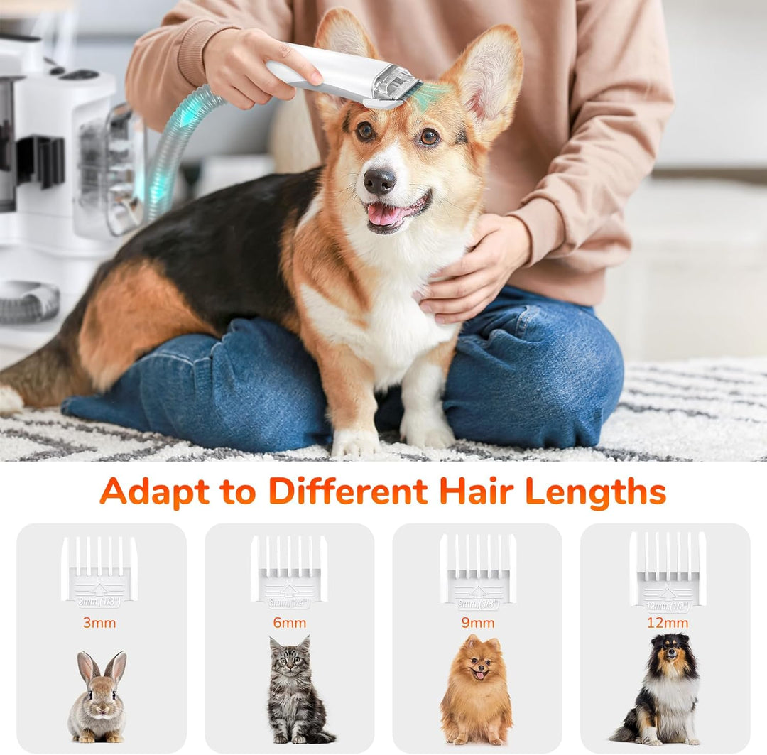 KACNON Hundeschermaschine mit Staubsauger (3.3L,13kPa) - All in one Haustierpflegeset - Leise Scherm