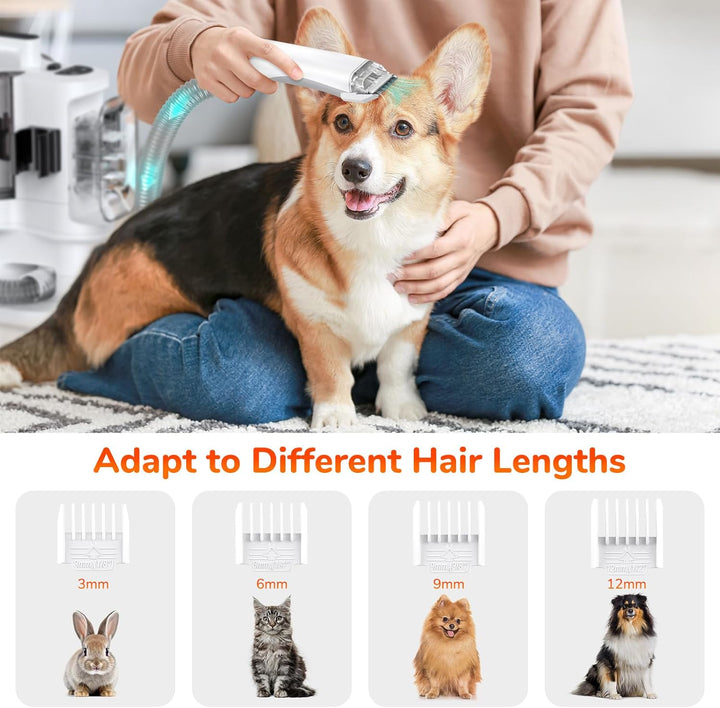 KACNON Hundeschermaschine mit Staubsauger (3.3L,13kPa) - All in one Haustierpflegeset - Leise Scherm