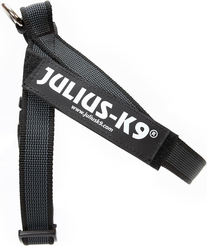Julius-K9, Color & Gray, Beltgeschirr S / Mini schwarz-grau, S / Mini schwarz-grau