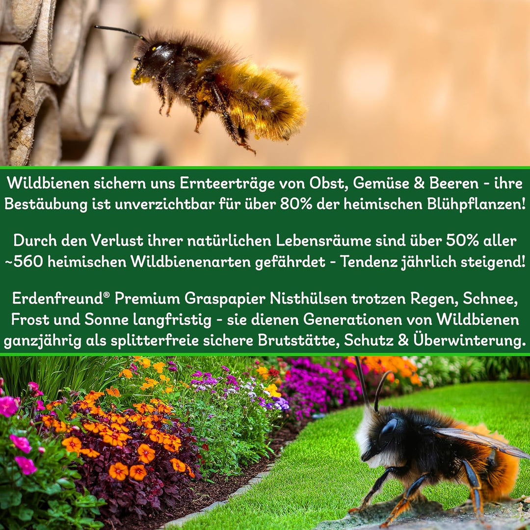 ERDENFREUND® 6 &amp; 8mm Premium Graspapier Niströhren für Wildbienen ohne Splitter 2x250 Nisthülsen Ins
