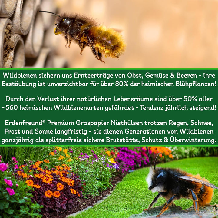 ERDENFREUND® 6 &amp; 8mm Premium Graspapier Niströhren für Wildbienen ohne Splitter 2x250 Nisthülsen Ins