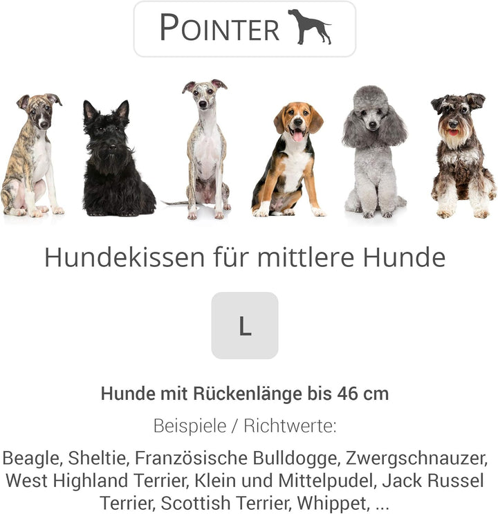 Doctor Bark Pointer | Hundekissen Urban - orthopädisch, waschbar, robust, bequem (L - 60x50 cm, Hell