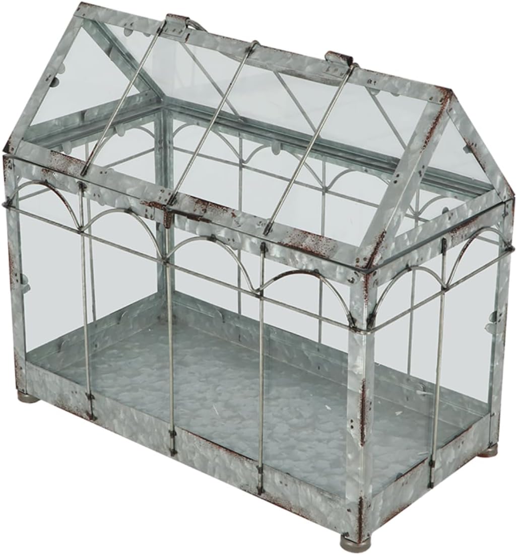 Esschert Design USA ZB22 Gewächshaus/Terrarium im Vintage-Look, silberfarben