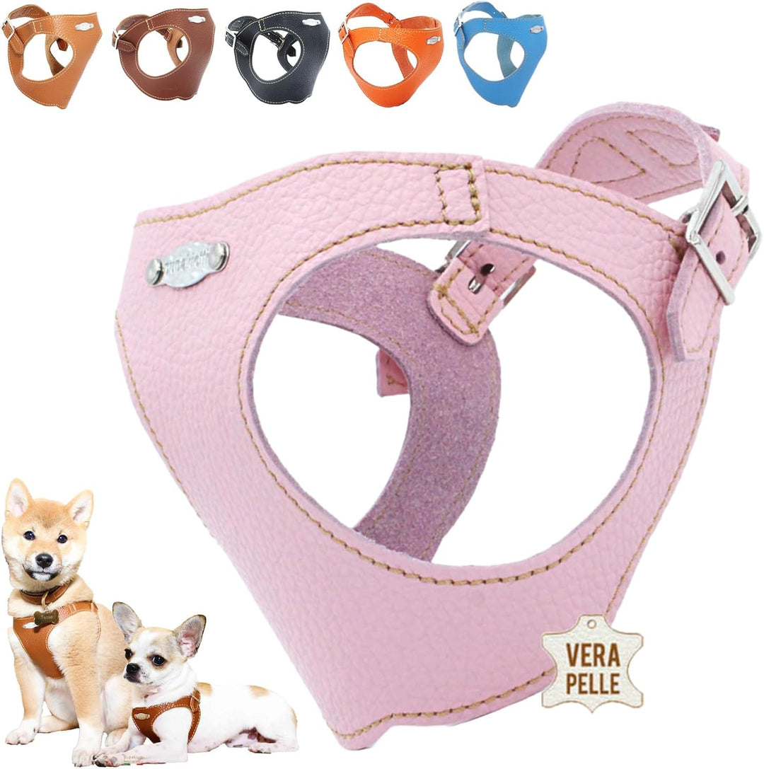 PUPAKIOTTI Basic Hundegeschirr Kleine und mittlere Grösse | Ergonomisches und verstellbares Hundeges