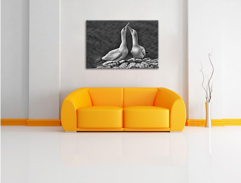 Pixxprint Monocrome, aussergewöhnliche Vögel am Meer, Format: 100x70 auf Leinwand, riesige Bilder fe