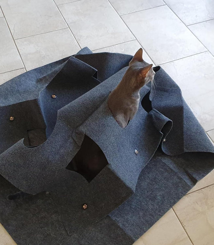 Katzenspielzeug und Kratzmatte, Spielmatte für Katzen, Interaktive Trainingsmatte, Katzenteppich Cat